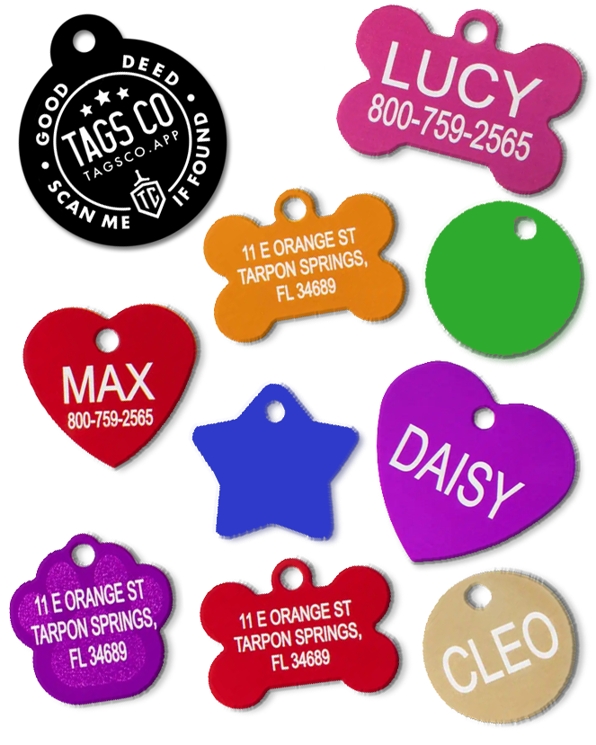 TAGSCO Premium Collections